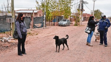 El programa territorial “casa por casa” dio sus primeros pasos en junio.