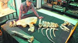 “Aún hay mucho por explorar en la Patagonia y muchos dinosaurios por descubrir”