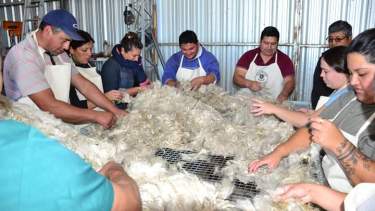 La clasificación de fibras es una de las actividades que realiza la organización en su centro de acopio. (foto: gentileza)