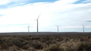 El primer parque eólico de Neuquén funciona con los 29 aerogeneradores