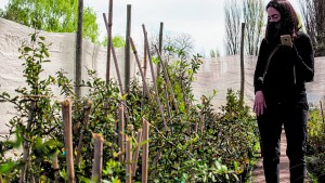 Cuando el verde de los arbustos marca el límite