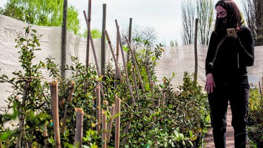 Marianela Gasparini repasa el crecimiento de algunas de las plantas. Asegura que es importante entender la función que les queremos dar en el jardín. (Foto: Juan Thomes)