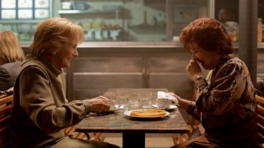 La trama sigue la historia de dos amigas y sus familias a lo largo de tres décadas.