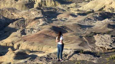 De viernes a lunes, toda una agenda de actividades para disfrutar de la naturaleza en Roca. Foto ilustrativa