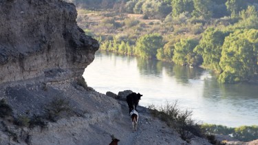 Disfrutar de la panorámica del Valle de la Luna, las bardas y el río es una tentación.