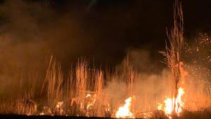 Impactante incendio en zona de chacras en Barda del Medio