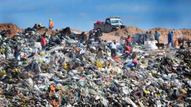 Comer del basural: en Neuquén lo consideran un «problema histórico»