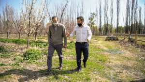 Martínez recibió en Neuquén al CEO de PAE