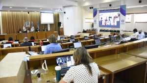 Sesiona de forma remota por primera vez el Deliberante de Neuquén