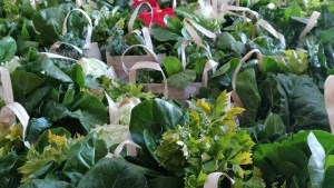 La agroecología se consolida cada vez más en Viedma