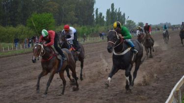 Robaron en el Club Hípico de Conesa y mataron dos caballos. Foto gentileza. 