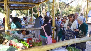 Analizarán propuestas para la posible habilitación de ferias en Regina