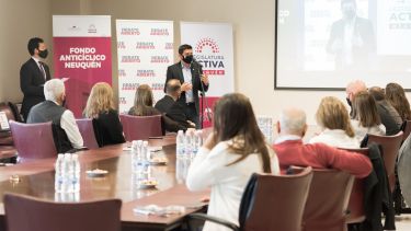 Las exposiciones se realizaron en la sala de comisiones (Legislatura de Neuquén)