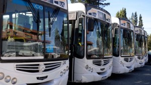Bariloche adelanta 11 millones de pesos a Mi Bus para evitar el paro de transporte