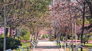 El parque que dio un respiro
