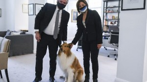 Río Negro: regresan los vuelos y reapertura turística