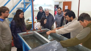 La piscicultura de la Isla 58 trabaja en la reproducción de especies autóctonas. (Foto Néstor Salas)