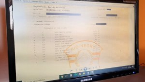 Casi 20.000 estatales de Río Negro accederán a sus recibos de sueldo en formato digital