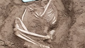 Los restos óseos hallados en un terreno de Neuquén son arqueológicos