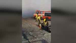 Ruta 65: incendio cerca del INTA viejo provocó la caída de cableado