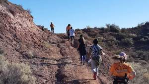 Plottier organiza una carrera virtual adaptada al contexto de pandemia