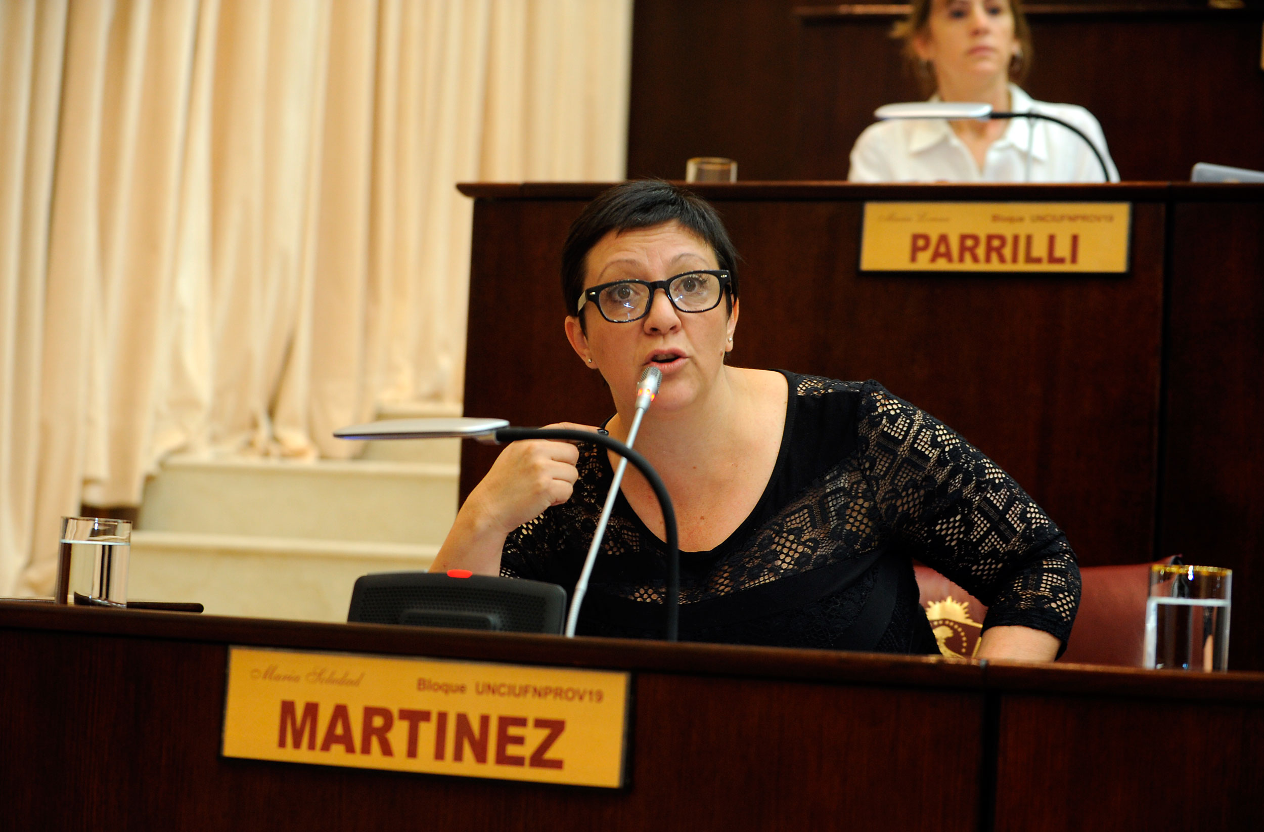 La diputada del Frente de Todos, Soledad Martínez, aseguró que su espacio no tiene que definirse en base a la interna del MPN. (Gentileza).-