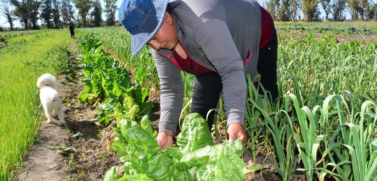 Tres mujeres rurales y su lucha al frente de las chacras