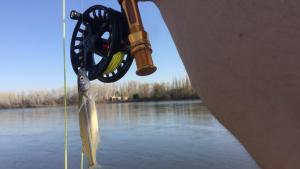 Pesca en los valles del río Negro: de las carpas a las truchas
