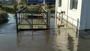 Choele huele a cloaca y la planta «modelo» sigue tirando al río