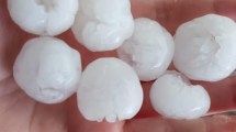 Imagen de Importante caída de granizo en Regina y Godoy afectó a productores