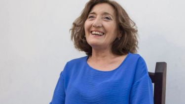 La Justicia confirmó que Alcira Figueroa reemplazará a Juan Ameri en el Congreso. 