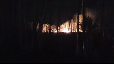 Foto: Captura Video Centenario Digital