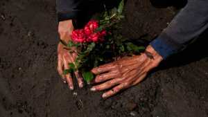 La «nueva normalidad» en el mundo: lo cotidiano en medio de la pandemia