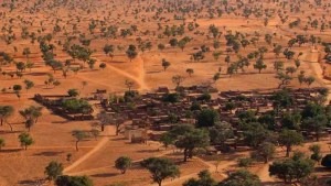 Desierto del Sahara: el increíble hallazgo de cientos de millones de árboles