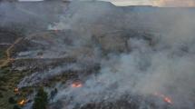 Imagen de Incendio en Aluminé puso en riesgo a viviendas y propiedades privadas