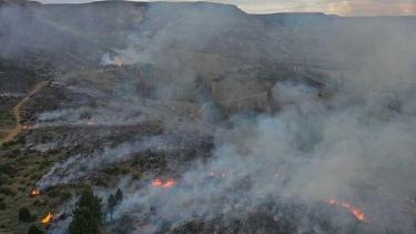 Foto: Twitter @tambonic