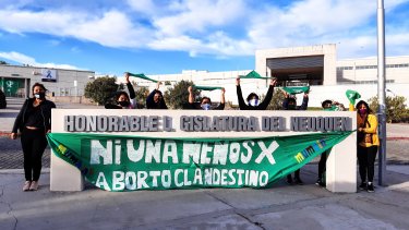 El pañuelazo en la Legislatura de Neuquén.  Foto: Twitter @cecimaletti