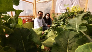 El fenómeno de los cultivos familiares: hay más de 1000 huerteros en Cutral Co