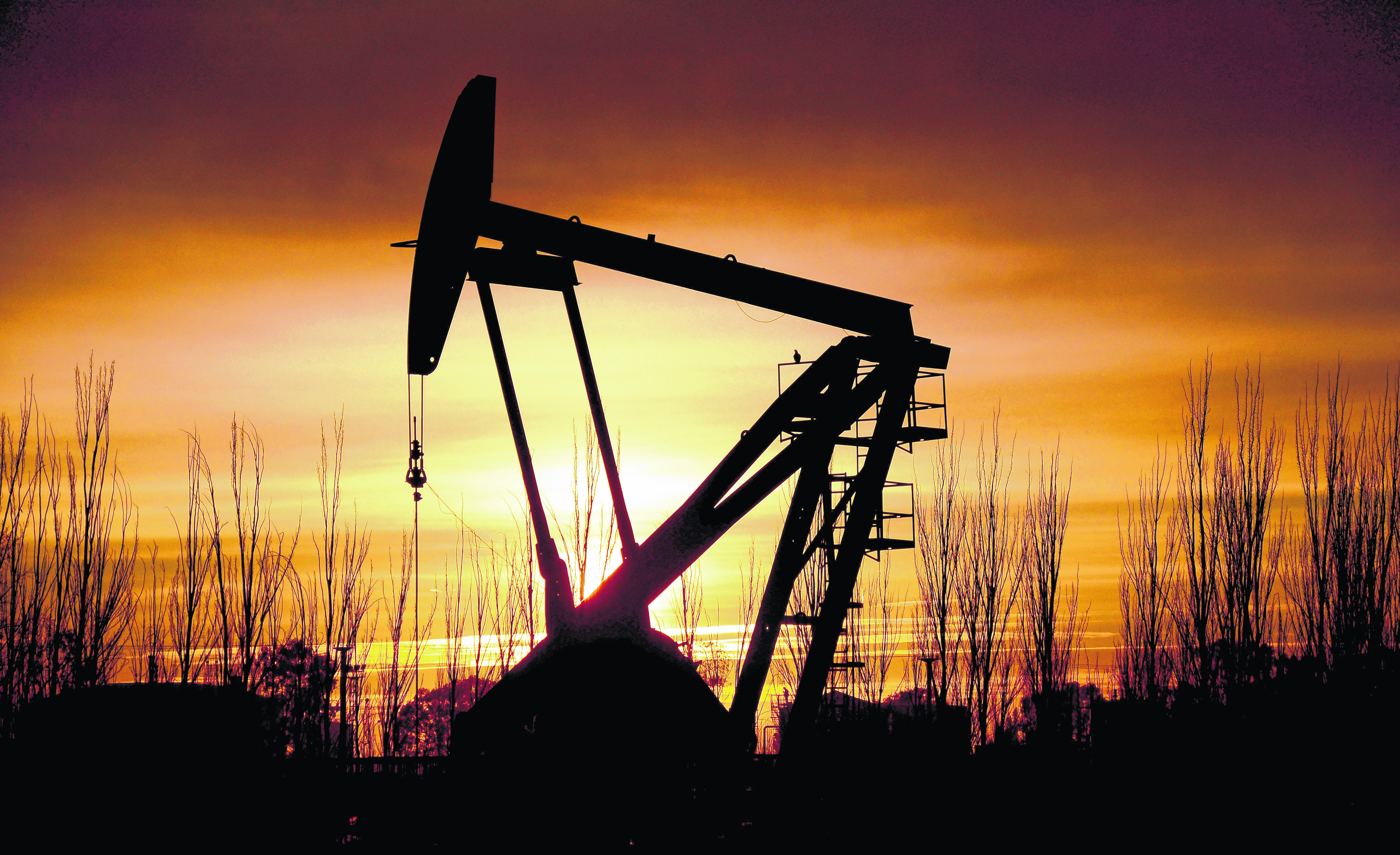 La operadora cerró los dos pozos de shale oil en mayo por la caída en la demanda local de petróleo. Planean reactivarlos a fin de año.  (Foto: archivo)