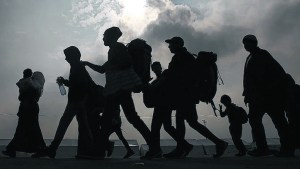 ¿Hacia una Constitución de la Tierra?