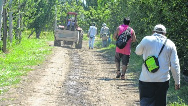 Los trabajadores registraron síntomas leves, informaron desde el municipio. Foto archivo