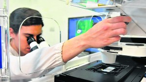 Ciencia, tecnología e innovación para el desarrollo