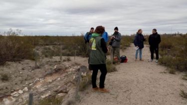 El Bosque Petrificado es uno de las riquezas turísticas que tiene Valcheta. Foto: Gentileza.