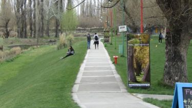 El municipio lleva adelante un plan de forestación urbana que incluye la plantación de árboles frutales. Foto: Gentileza.