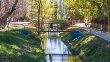 La Optimización del Sistema de Riego del arroyo Valcheta, permitirá incrementar la producción de forraje en la zona. Foto: gentileza.