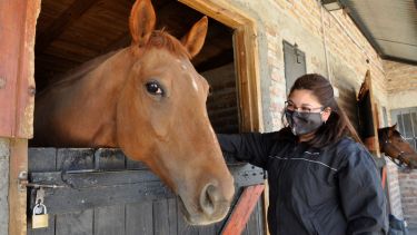 La pasión que siente Jazmín Miguel por los caballos la llevó a desarrollar su idea. (Foto José Mellado)