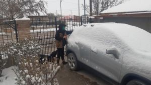 Sorpresiva nevada en la Región Sur