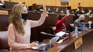 Diputados del Frente de Todos quieren anular, por ley, los sumarios a Salud