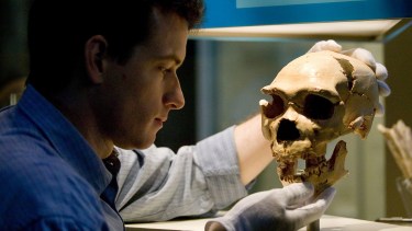 La investigación fue publicada en la revista Nature.