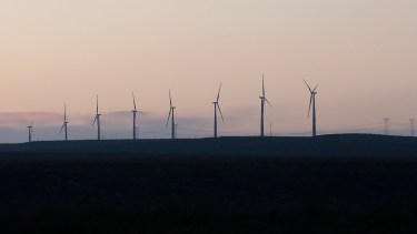 El relanzamiento de las energías renovables